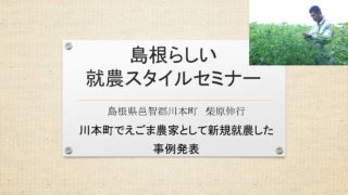 しまね新規就農者の紹介シリーズ　No.5（川本町：柴原さん（えごま））