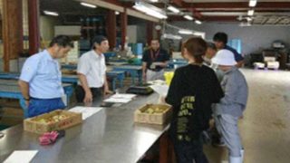 いちじくチャレンジ講座の収穫実習（島根県内農業の紹介シリーズ　No.8）