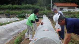 有機野菜実証ほ場で研修会を開催 （島根県内農業の紹介シリーズ　No.7）