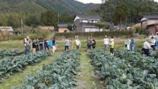 吉賀町でブロッコリー現地研修会を開催 ~排水対策の重要性を確認~(島根県内農業の紹介シリーズ No.10)