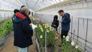 ストック栽培管理をテーマとした松江市花き若手生産者栽培研修会を開催(島根県内農業の紹介シリーズ No.12)