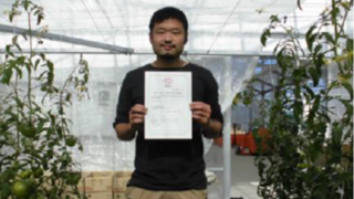 ＴＣ浜田農場(株)、トマト初出荷！（しまね新規就農者の紹介シリーズ　No.12）