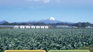 島根県内農業の紹介シリーズ　No.4