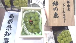 新規就農者がブドウ栽培で県知事賞獲得！（しまね新規就農者の紹介シリーズ　No.４）