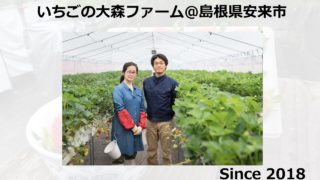 しまね新規就農者の紹介シリーズ　No.9（安来市：大森さん（イチゴ））